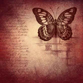 Illustration d'un papillon ancien